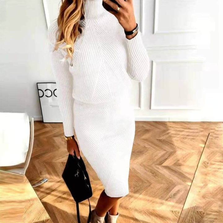 Trix | Women Ribbed Turtleneck Knit Dress