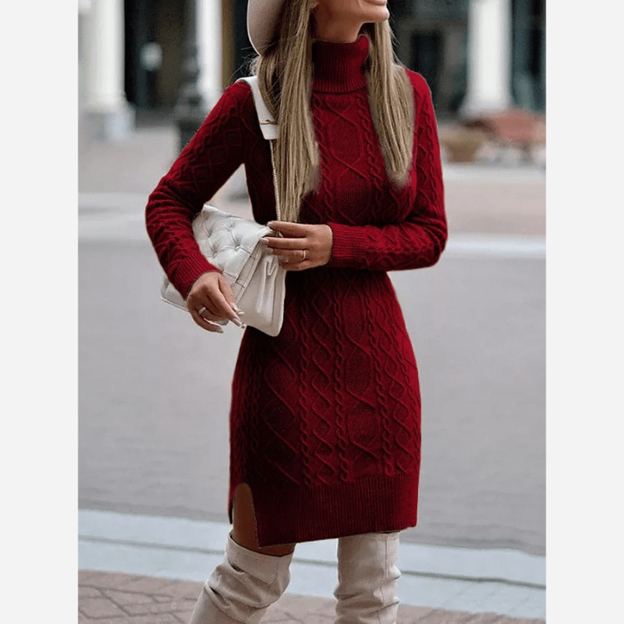 Concetta Women Turtleneck Knit Side Slit Long Sleeve Dress
