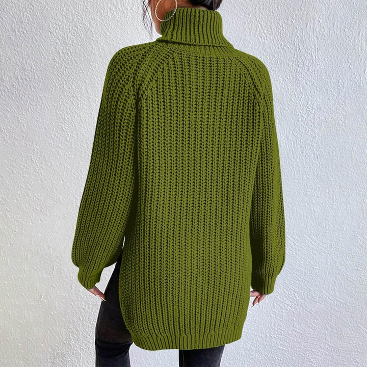 Lane | Women Chunky Knit Turtleneck