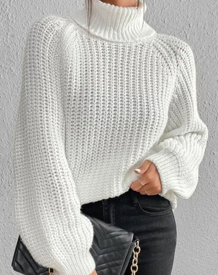 Filomena Women Ribbed Turtleneck Side Slit Knitted Sweater
