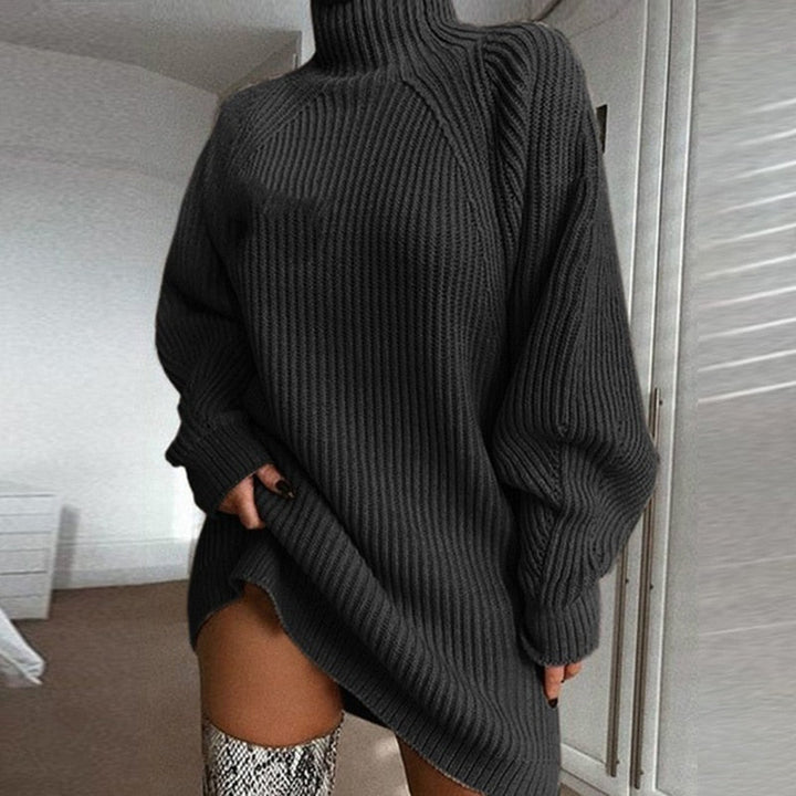 Prairie | Women Turtleneck Mini Knit Dress